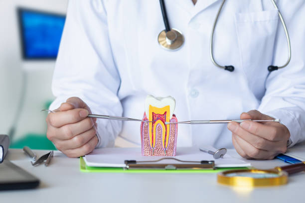 Best Orthodontic Emergency Dentist in Roberts, WI